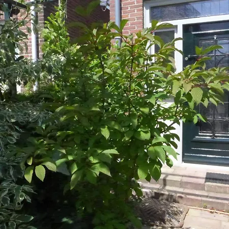 Family Marie 度假居