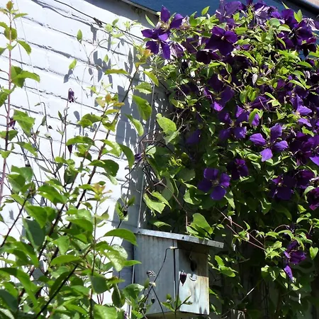 度假居 Family Marie *