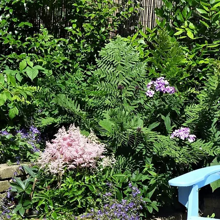 Family Marie 度假居 *