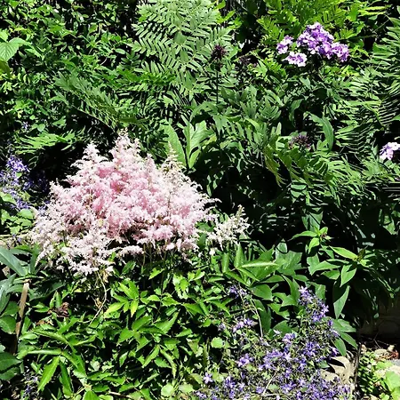 Family Marie 펜션 *