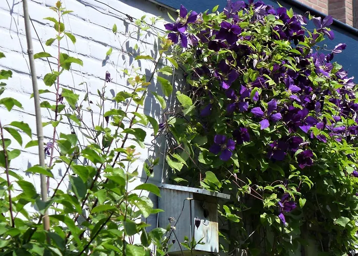 Дом отдыха Family Marie *