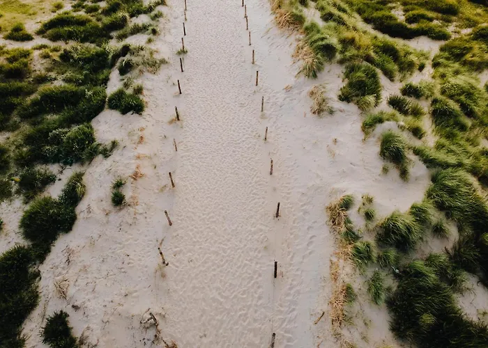 Family Marie Зандфорт