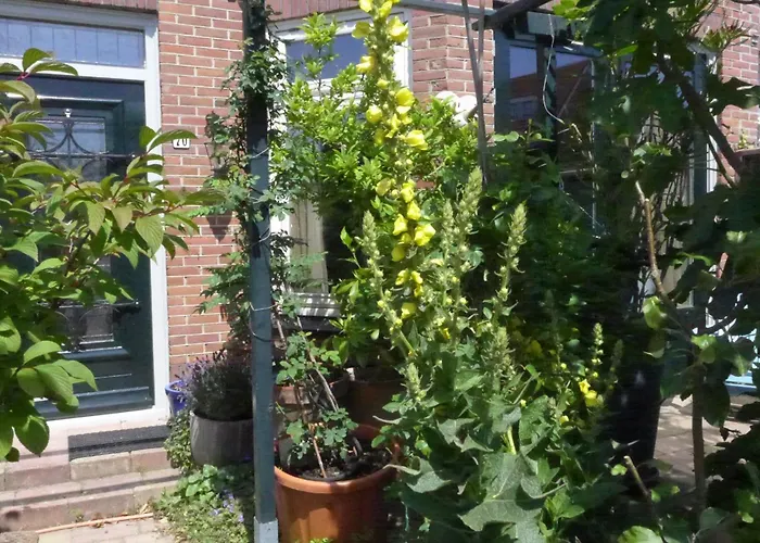 Family Marie * Зандфорт