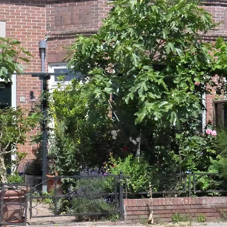 Family Marie Ferienhaus Zandvoort