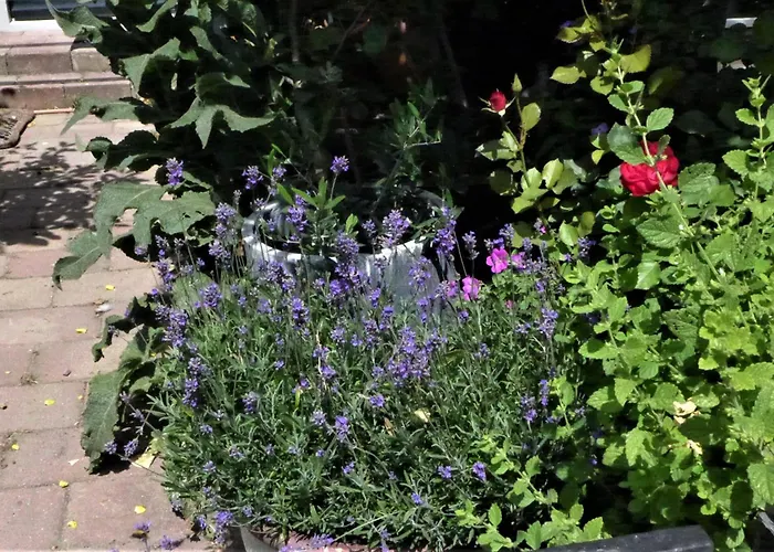 Family Marie Zandvoort