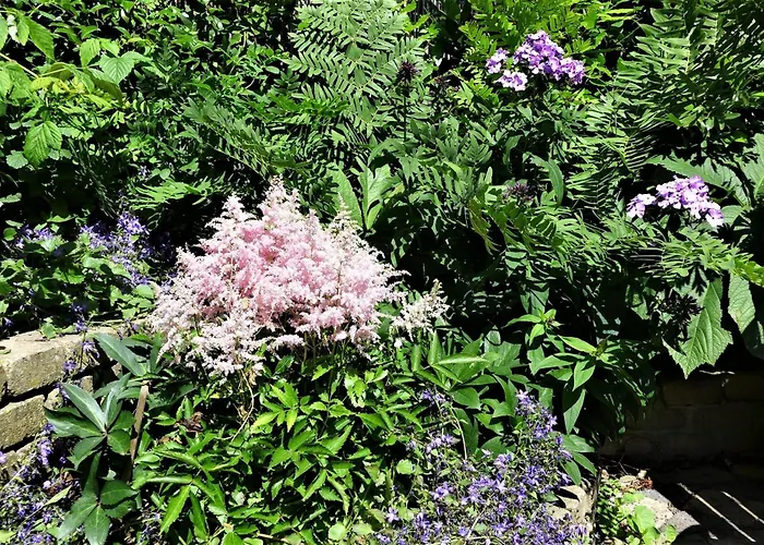 Family Marie Ferienhaus *